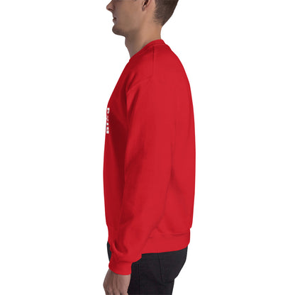 EEVBlog Square Logo Sweatshirt